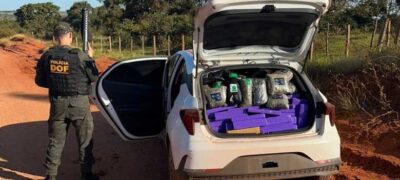 DOF apreende carro recheado com montante de drogas avaliado em R$ 1,9 milhão