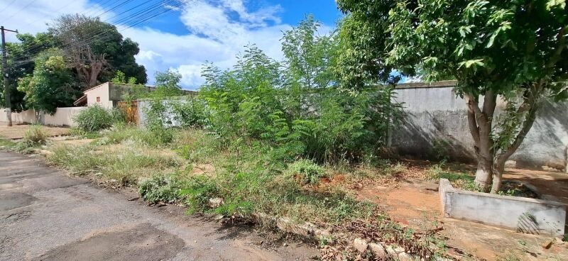 Vigilância em Saúde notifica mais 31 proprietários de terrenos para limpeza e regularização