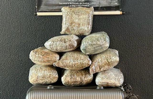 Adolescente é apreendida pelo DOF com mais de 5 quilos de skunk em Ponta Porã