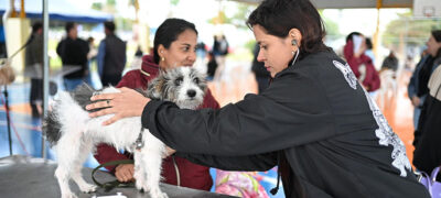 Caravana da Castração realiza mais de 400 procedimentos em Jardim