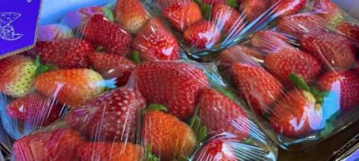 Ceasa: em meio a febre do morango do amor, procura pela fruta aumenta e preço já subiu 35%