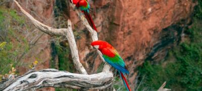 Eventos da Reditec em Jardim colocam em destaque a integração, cultura e o turismo