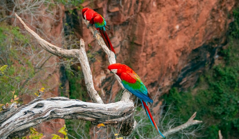 Eventos da Reditec em Jardim colocam em destaque a integração, cultura e o turismo