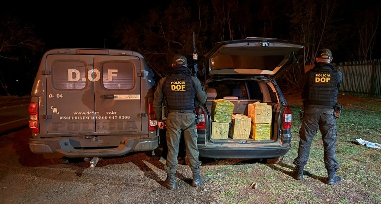 DOF apreende quase 300 quilos de drogas que seguiam para o Estado de São Paulo
