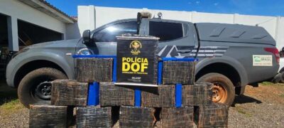 DOF apreende mais de 250 quilos de droga em assentamento de Itaquiraí