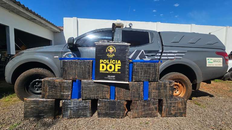 DOF apreende mais de 250 quilos de droga em assentamento de Itaquiraí