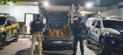 Ação conjunta entre PM e PRF aprendem mais de 1 tonelada de droga e prisão de autor de tráfico