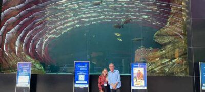 Dra. Andreara Castro participa de Workshop Saúde Digital promovido pela SES-MS