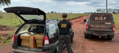 DOF apreende 320 quilos de drogas que seguiam para Minas Gerais