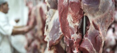Exportações de MS somam US$ 7,24 bilhões até agosto e carne bovina cresce 43,7% no acumulado do ano