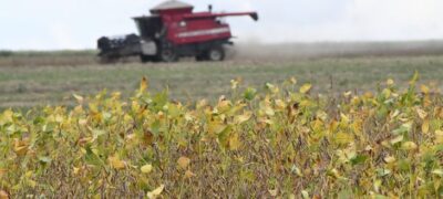 Começa plantio da maior safra de soja de Mato Grosso do Sul, com expectativa de colher 15 milhões de toneladas