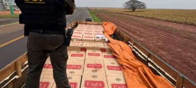 DOF apreende caminhão carregado de cigarros contrabandeados que seguia para o Paraná