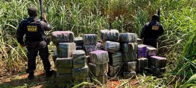 DOF apreende mais de R$ 5,5 milhões em drogas escondidas em meio a mata