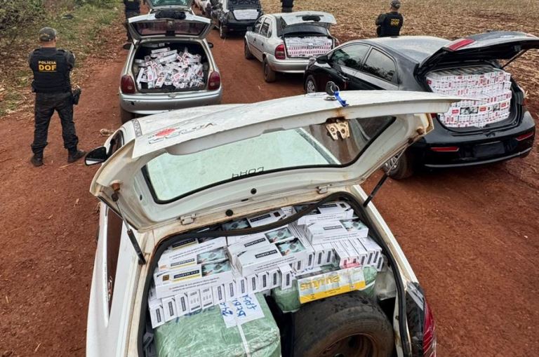 DOF localiza entreposto de contrabandistas e apreende 17 veículos carregados com materiais ilegais