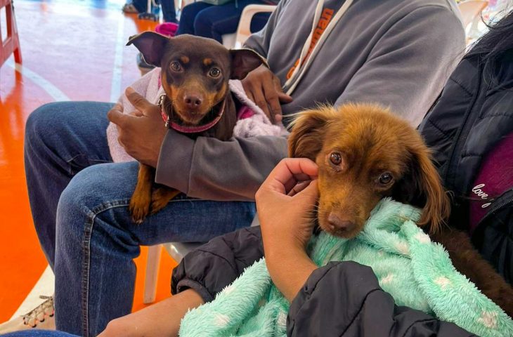 Caravana da Castração: 2ª etapa atende 9,6 mil animais e avança para Grande Dourados e Cone Sul