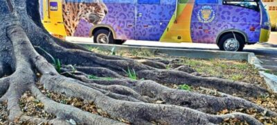 GOP leva prevenção ao câncer de mama a Aral Moreira e Nova Itamarati neste fim de semana