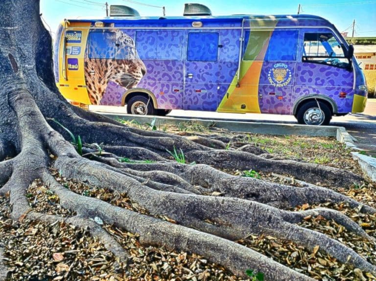 GOP leva prevenção ao câncer de mama a Aral Moreira e Nova Itamarati neste fim de semana