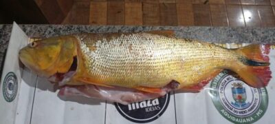 PMA de Jardim Aplica Multas de Mais de R$ 13 Mil por Pesca Predatória no Rio Miranda