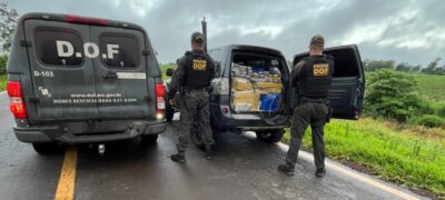 DOF apreende mais de 350 quilos de drogas que seriam entregues no Rio Grande do Sul