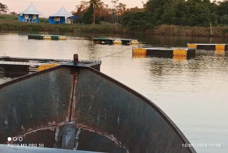 Piscicultura e Sustentabilidade é tema de mesa redonda na Ponta Agrotec 2025
