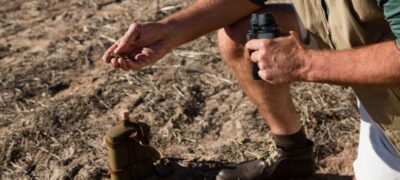 Diversidade de culturas e estrutura do solo serão foco da mesa sobre regeneração na Ponta Agrotec 2025