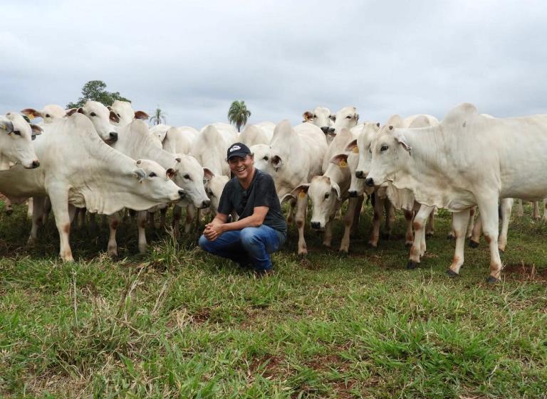 Pioneirismo da pecuária de MS conquista prêmio internacional