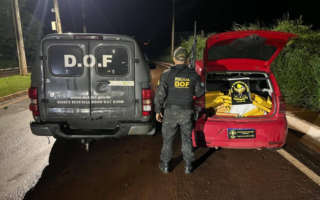DOF apreende 282 quilos de maconha que seriam entregues em Minas Gerais