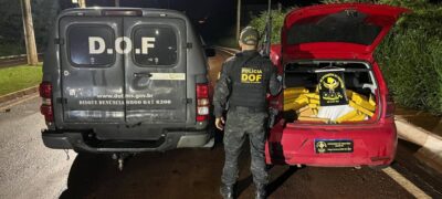DOF apreende 282 quilos de maconha que seriam entregues em Minas Gerais