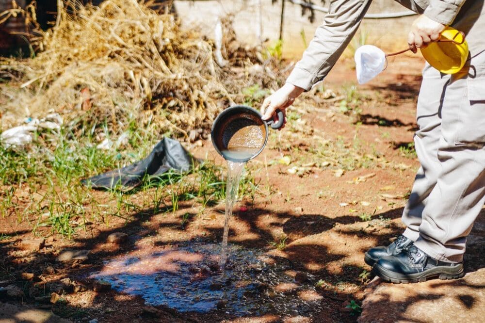 Com 8.319 confirmações, dengue segue em alta e acende alerta em MS
