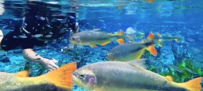 Assembleia Legislativa destaca Bonito em especial sobre Turismo e Sustentabilidade