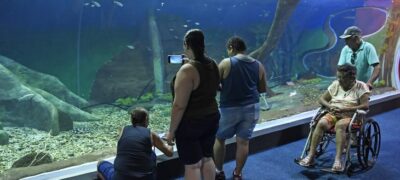 Bioparque Pantanal recebe selo internacional “ouro” por sustentabilidade e se destaca entre atrativos turísticos mundiais