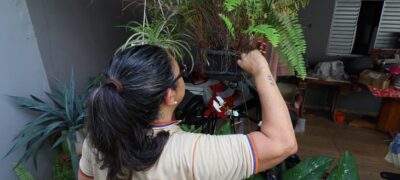 Contra o mosquito, todos do mesmo lado: Mato Grosso do Sul realiza ‘Dia D’ de Combate à Dengue