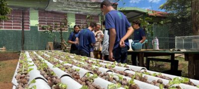 Do ar para a terra: escola estadual de MS transforma água de ar-condicionado em alfaces sustentáveis