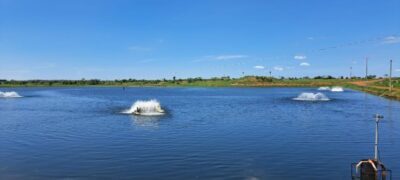 Piscicultura ganha novo fôlego em MS com ações do Estado e deve produzir 50 mil toneladas neste ano