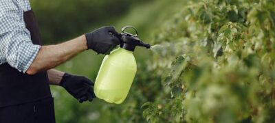 Controle de pragas e sustentabilidade no campo serão debatidos na Ponta Agrotec 2025