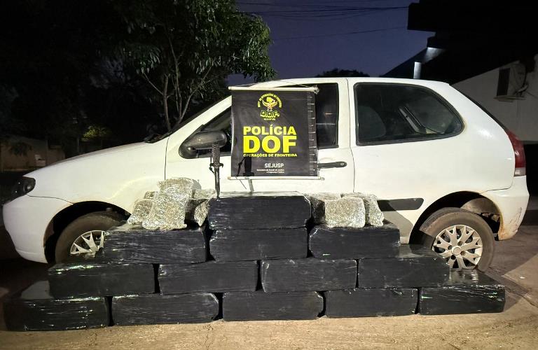 DOF apreende mais de 300 quilos de drogas em Ponta Porã