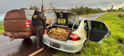 DOF apreende mais de 1,1 tonelada de maconha em Ponta Porã