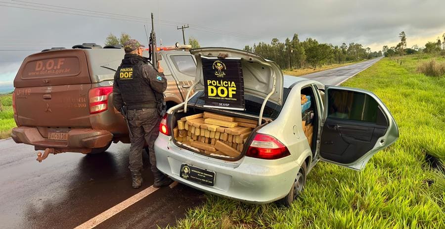 DOF apreende mais de 1,1 tonelada de maconha em Ponta Porã