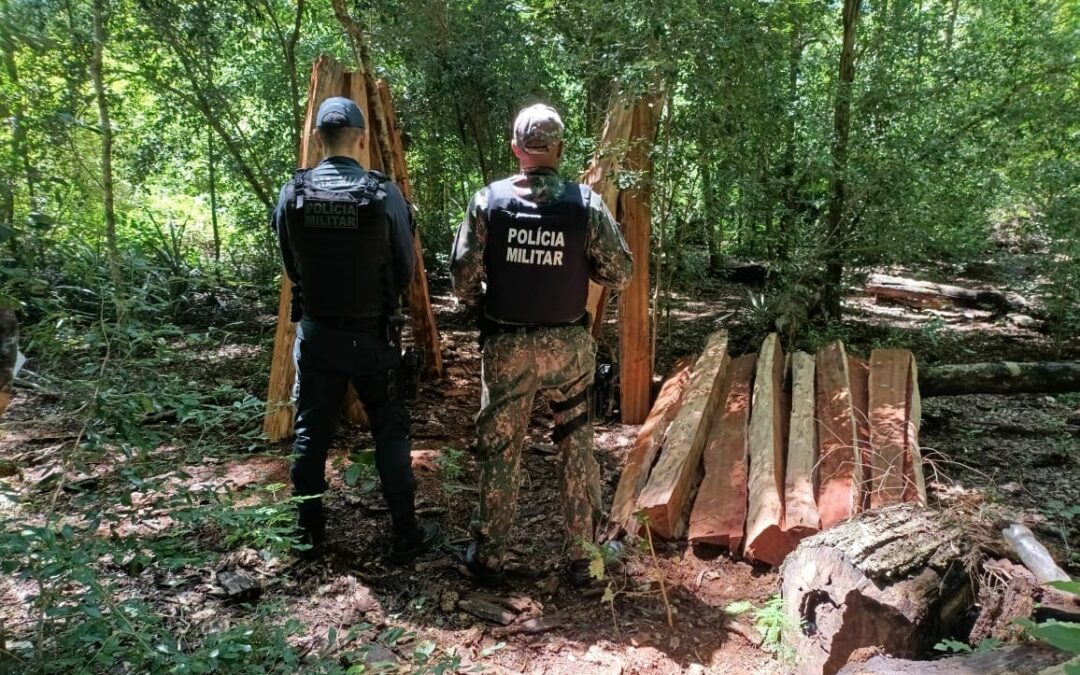 Operação Protetor: PMA de Bela Vista recebe apoio da PM de Bonito e Jardim em ação rural