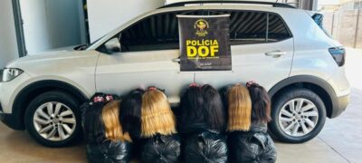 DOF apreende 257 quilos de cabelo humano avaliados em mais de R$ 2,5 milhões
