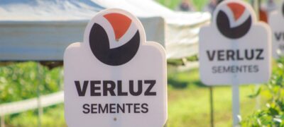 Sicredi Centro-Sul MS/BA promove palestra com Dr. Agro Marcos Fava durante Dia de Campo da Sementes Verluz, em Bonito