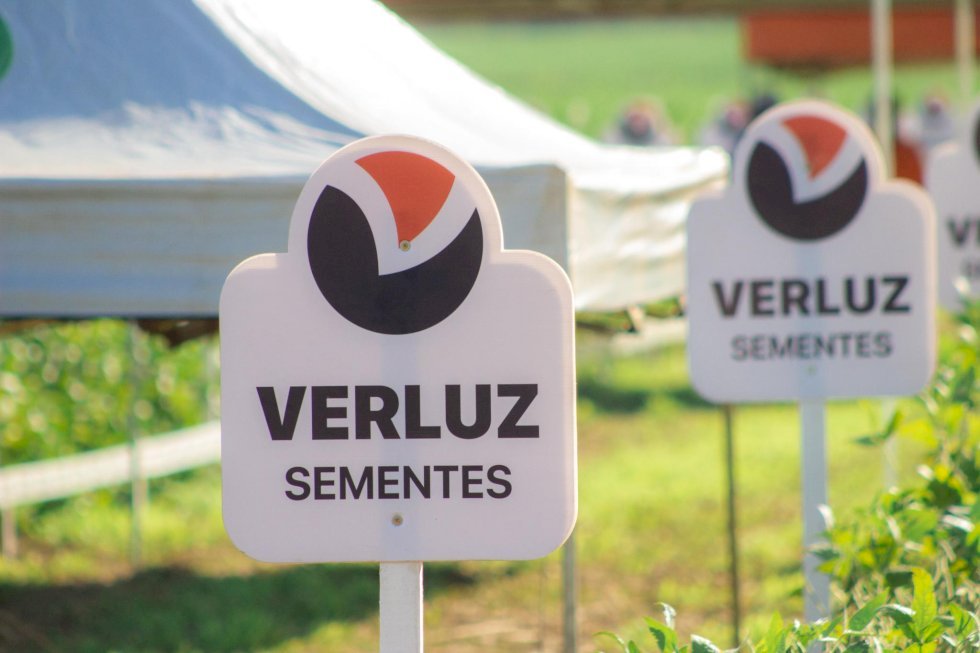 Sicredi Centro-Sul MS/BA promove palestra com Dr. Agro Marcos Fava durante Dia de Campo da Sementes Verluz, em Bonito