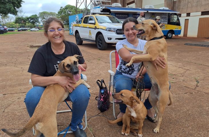 Bela Vista recebe Caravana da Castração dia 25 e 26 de janeiro