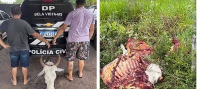 Policia Civil prende dois suspeitos e esclarece Abigeato em Bela Vista