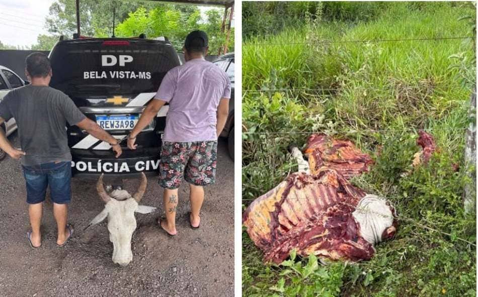 Policia Civil prende dois suspeitos e esclarece Abigeato em Bela Vista