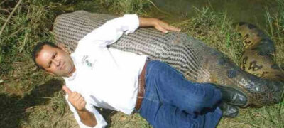 Relembre: Sidney Assis foi o jornalista de MS, que ganhou repercussão internacional após flagrante histórico com sucuri em MS