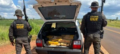 DOF apreende mais de 300 quilos de maconha em Ponta Porã