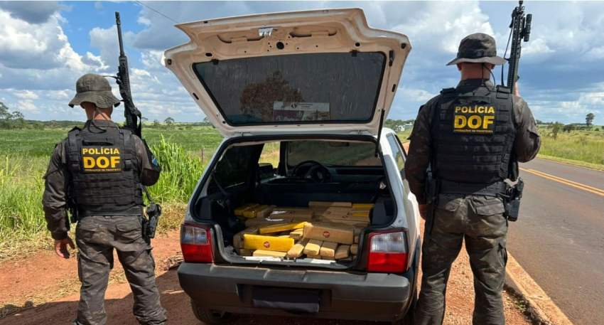 DOF apreende mais de 300 quilos de maconha em Ponta Porã