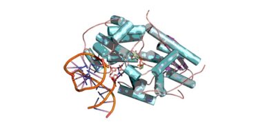 Natura investe em biotecnologia para dermocosméticos de reparação celular avançada
