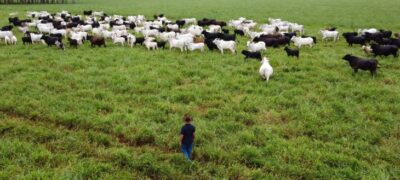 Com maior crescimento do país, agro de MS é fruto de incentivo, modernidade e sucesso do homem do campo